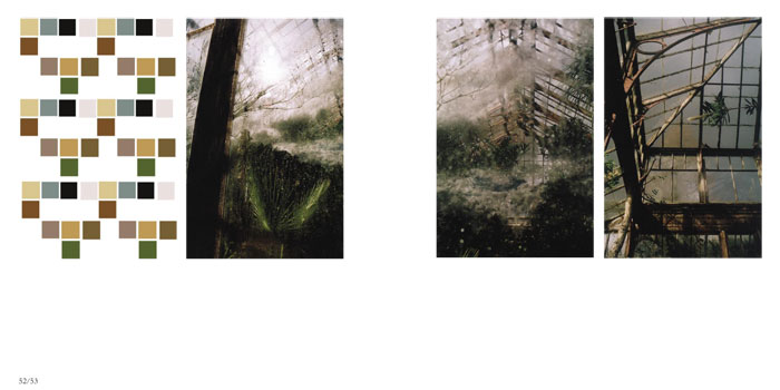 Square pattern, Digital image, Nov 2005, Green House, Cambridge Botanical Gardens, May 2004
