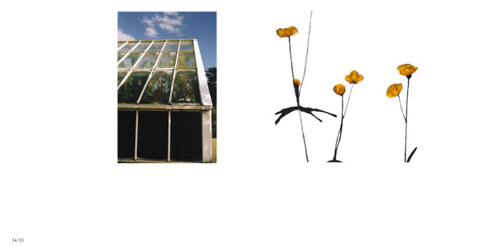 Greenhouse, Cambridge Botanical Gardens, May 2004, Drawing, Pen on rice paper, March 2006